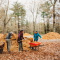 The Impact of Community Festivals on Local Agriculture in Western Massachusetts