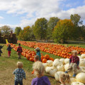 Discover the Best Family-Friendly Community Festivals in Western Massachusetts