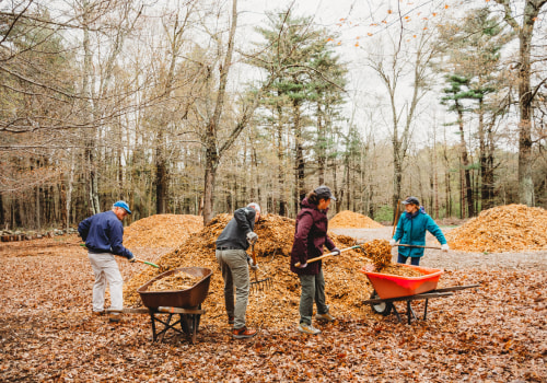 The Impact of Community Festivals on Local Agriculture in Western Massachusetts