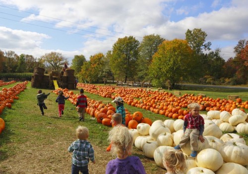 Discover the Best Family-Friendly Community Festivals in Western Massachusetts